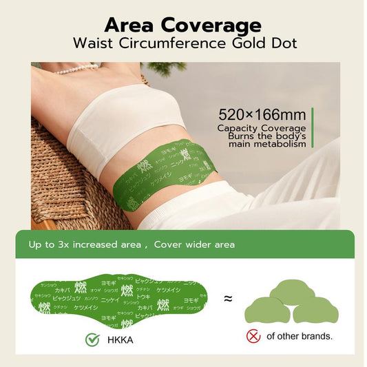 Hanpo Japanese Herbal patch Pad 5pcs/box