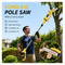 20V Cordless Pole Saw with Telescopic Extension