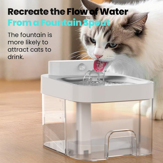 Cat Water Fountain