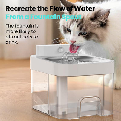 Fontaine à eau pour chat